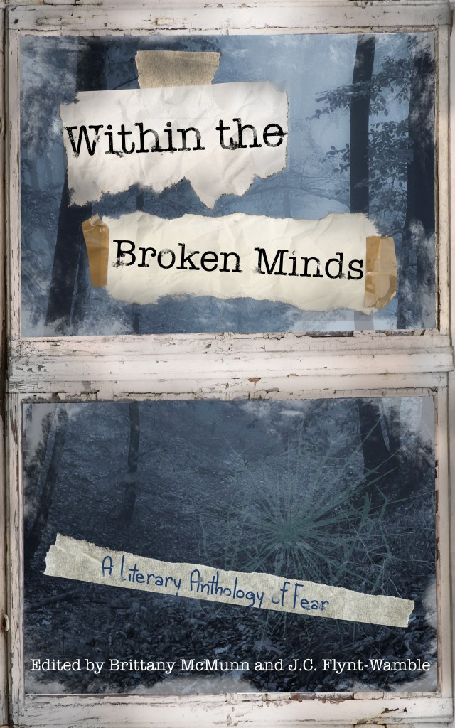 Inside the Broken Minds Wild Ink Publishing